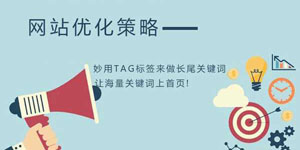 解除织梦中TAG标签字数长度限制的方法