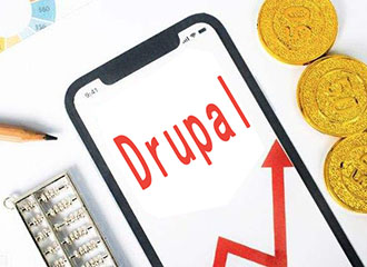 如何自定义meta内drupal9版本号与官网地址？