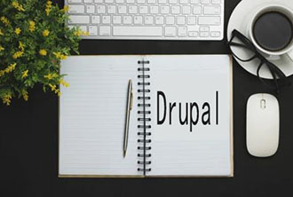 Drupal9搜索结果页面TDK如何配置？